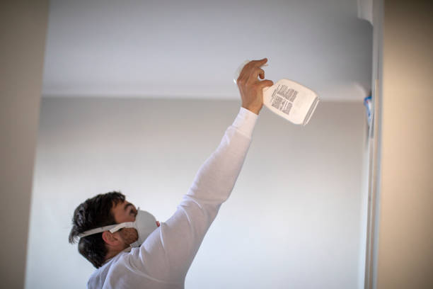 Best Home Mold Removal  in Nambe, NM