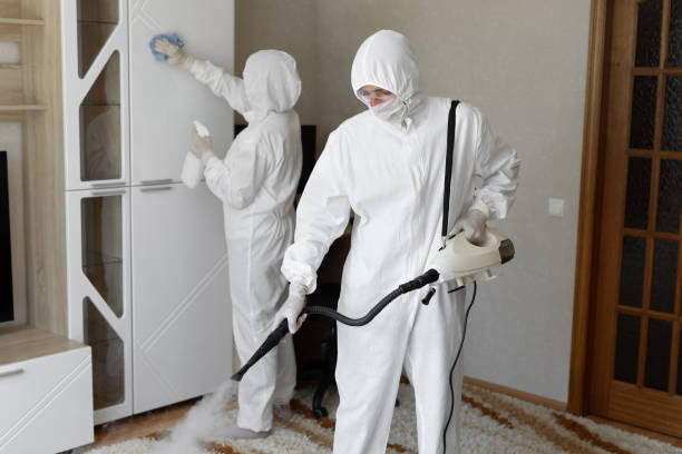 Best Attic Mold Removal  in Nambe, NM