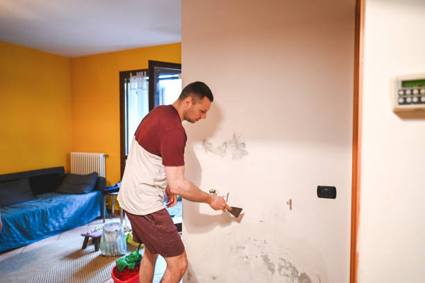 Best Affordable Mold Removal  in Nambe, NM
